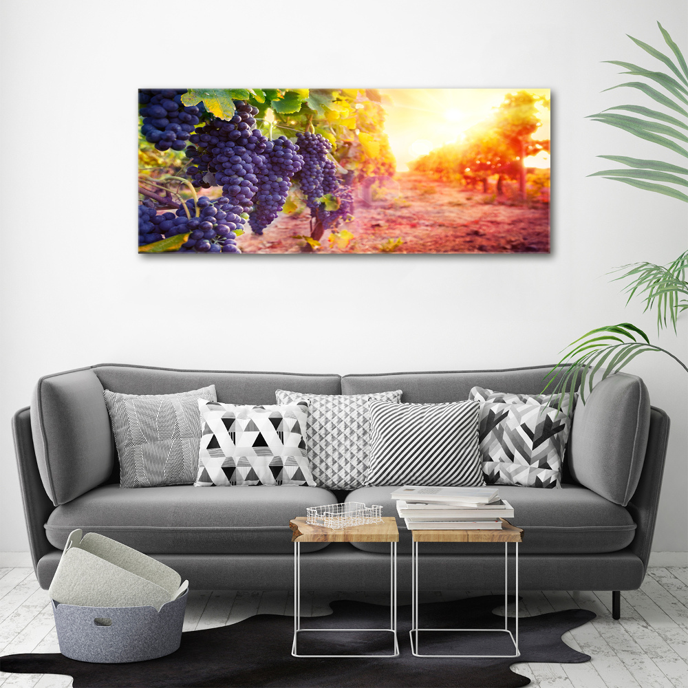 Foto obraz canvas Winorośle