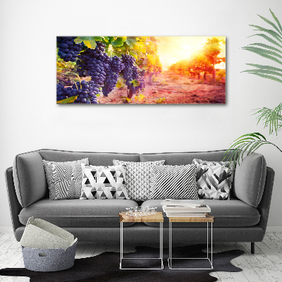 Foto obraz canvas Winorośle
