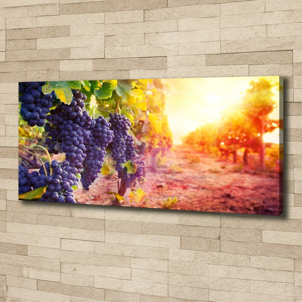 Foto obraz canvas Winorośle