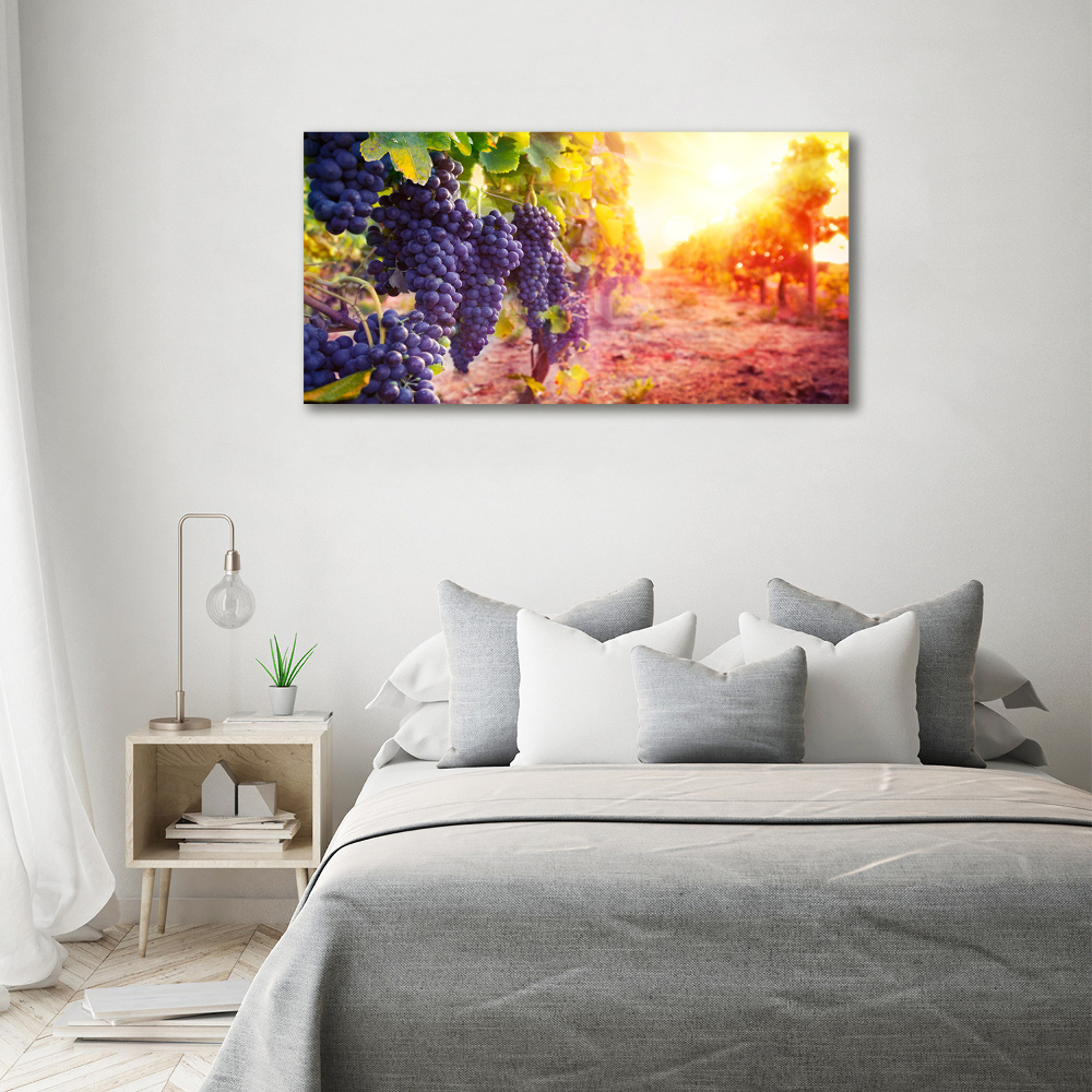 Foto obraz canvas Winorośle
