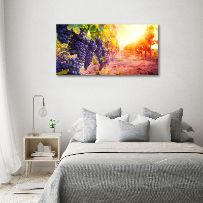 Foto obraz canvas Winorośle