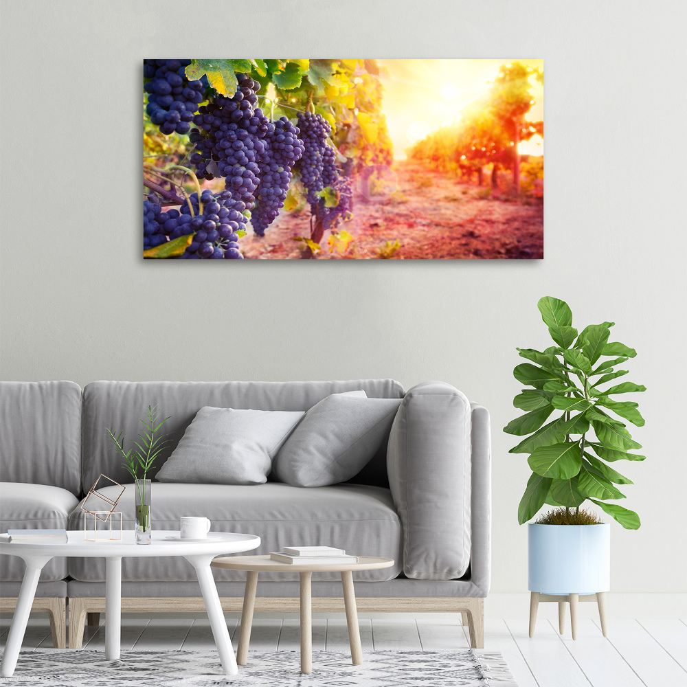 Foto obraz canvas Winorośle
