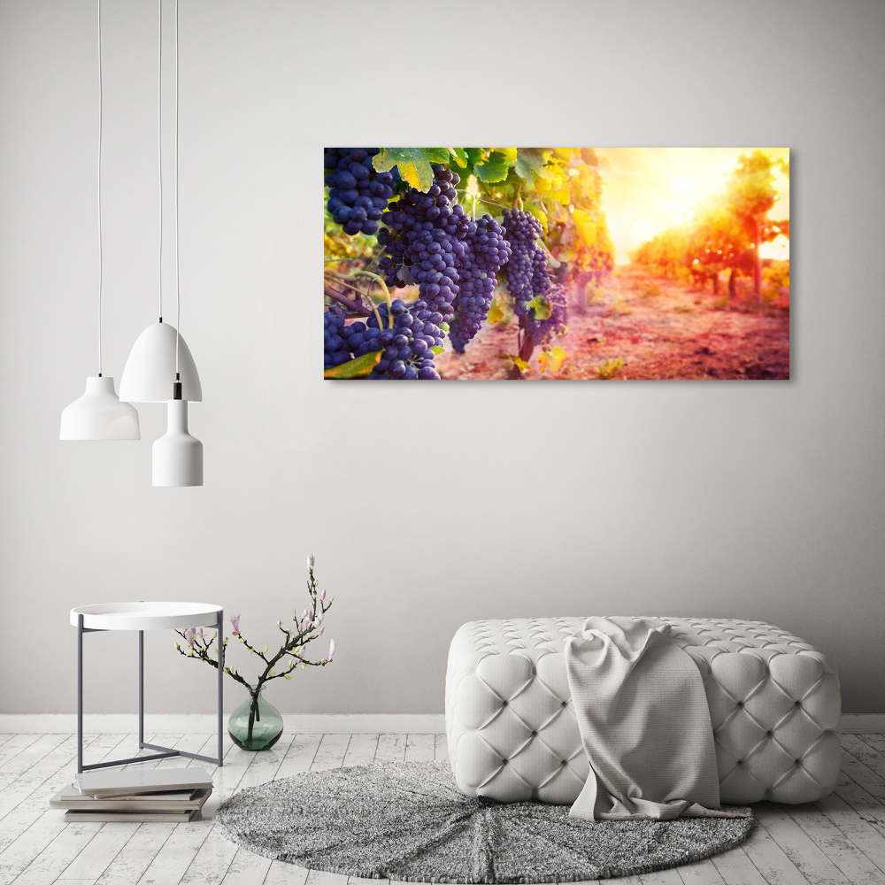 Foto obraz canvas Winorośle