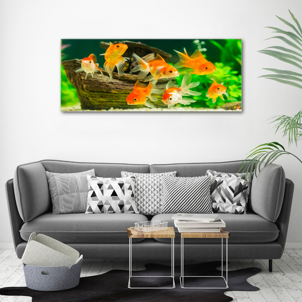 Foto obraz canvas Złote rybki