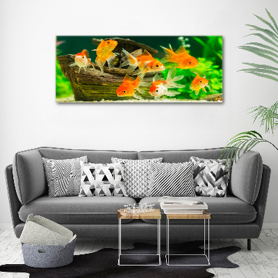 Foto obraz canvas Złote rybki