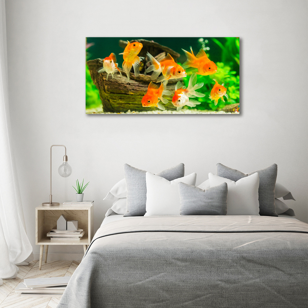 Foto obraz canvas Złote rybki