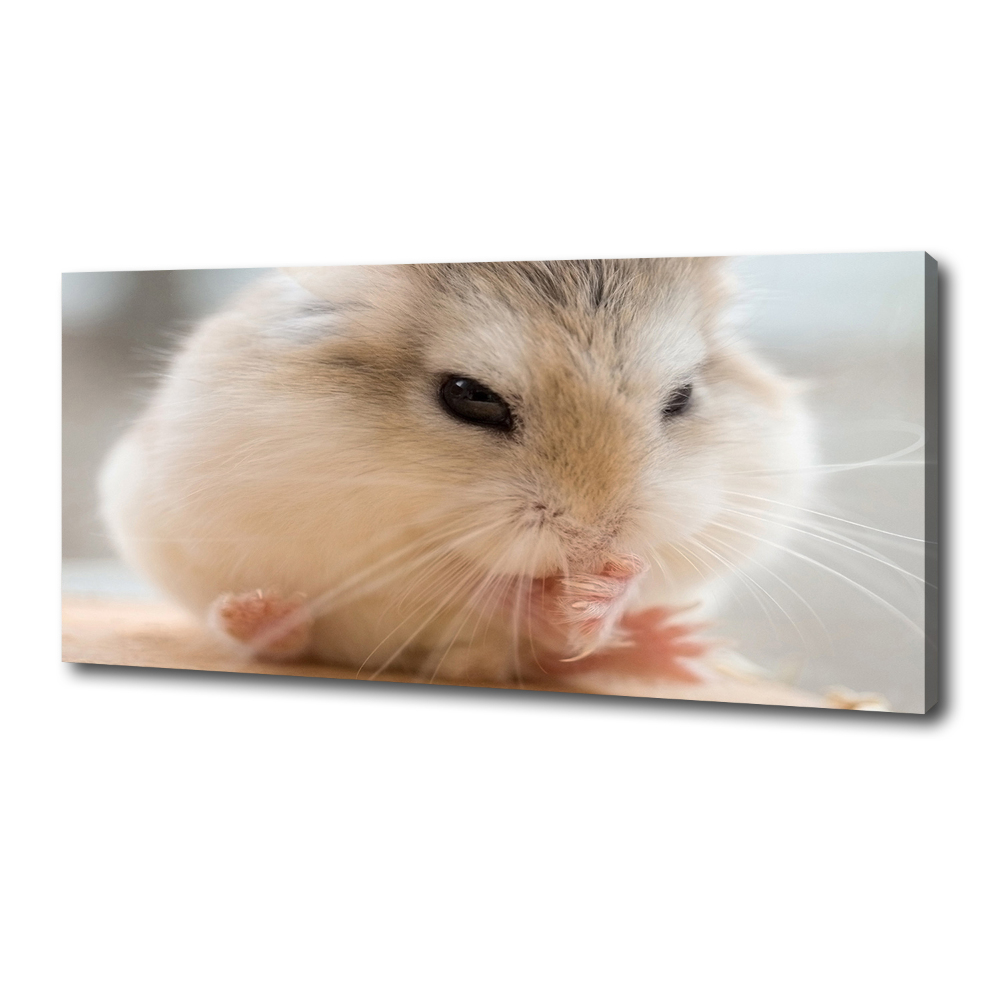 Duży foto obraz na ścianę canvas Chomik