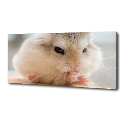 Duży foto obraz na ścianę canvas Chomik