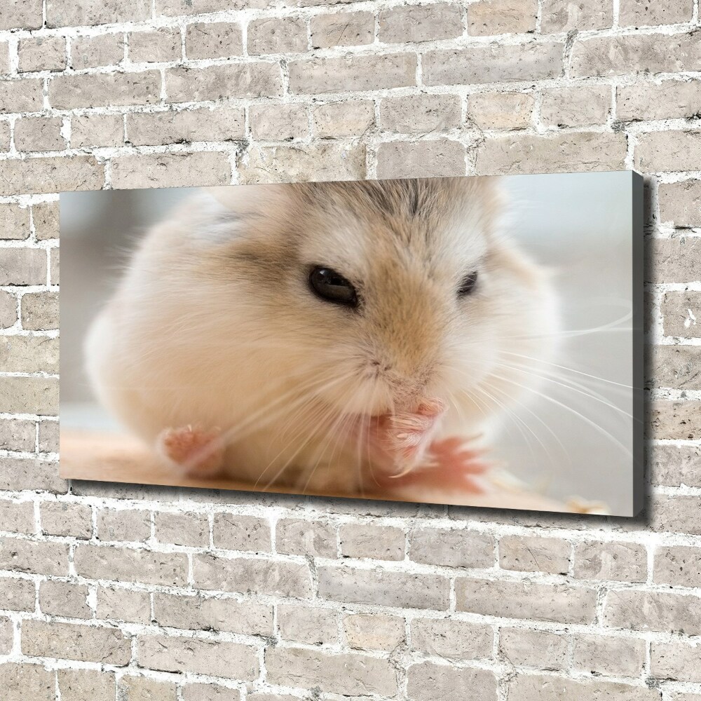 Duży foto obraz na ścianę canvas Chomik