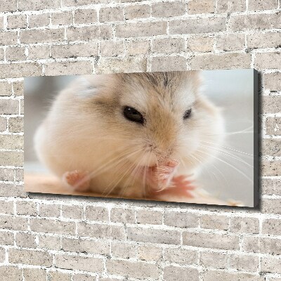 Duży foto obraz na ścianę canvas Chomik