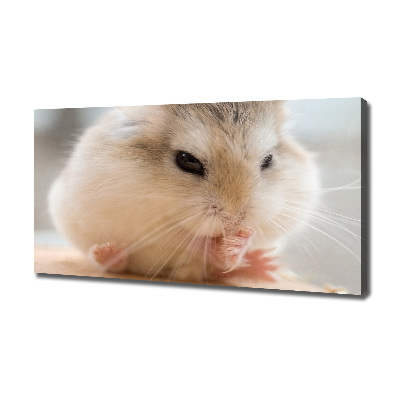 Duży foto obraz na ścianę canvas Chomik