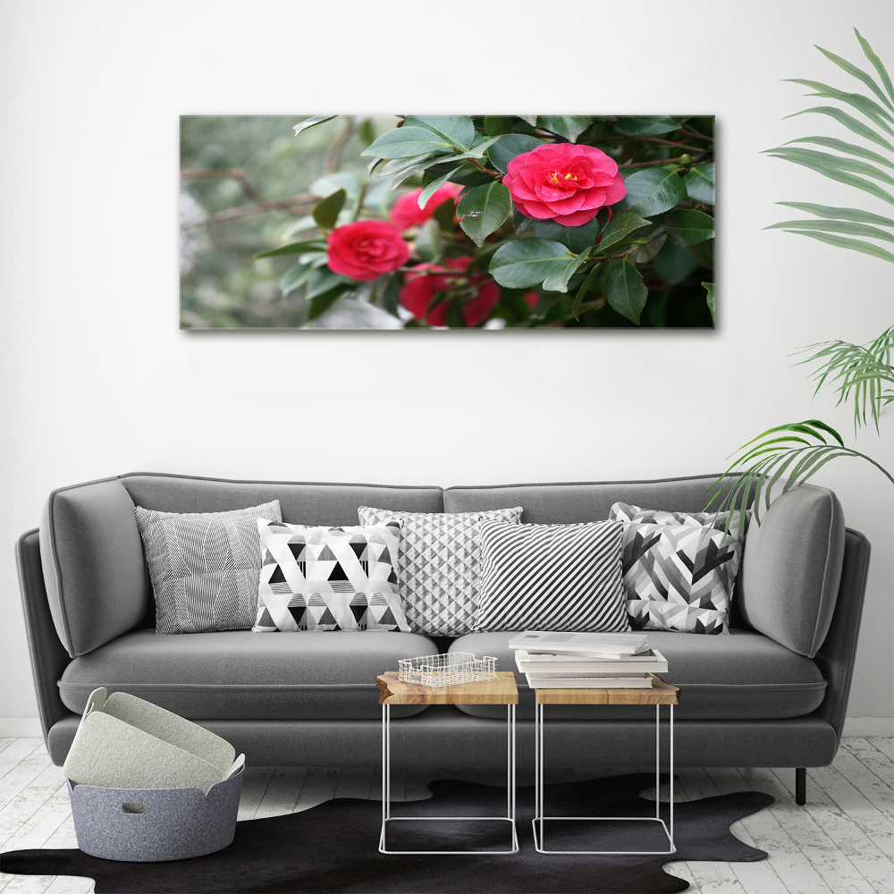 Foto obraz canvas Kamelia