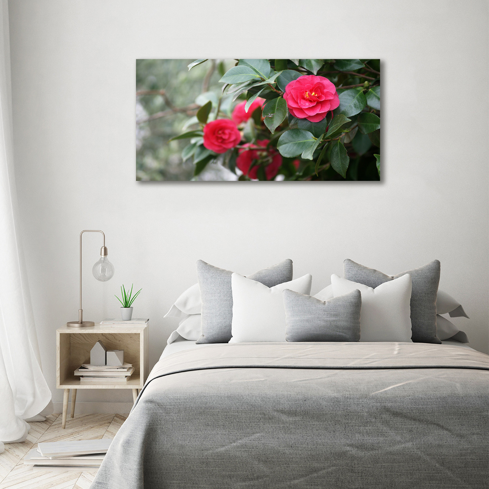 Foto obraz canvas Kamelia