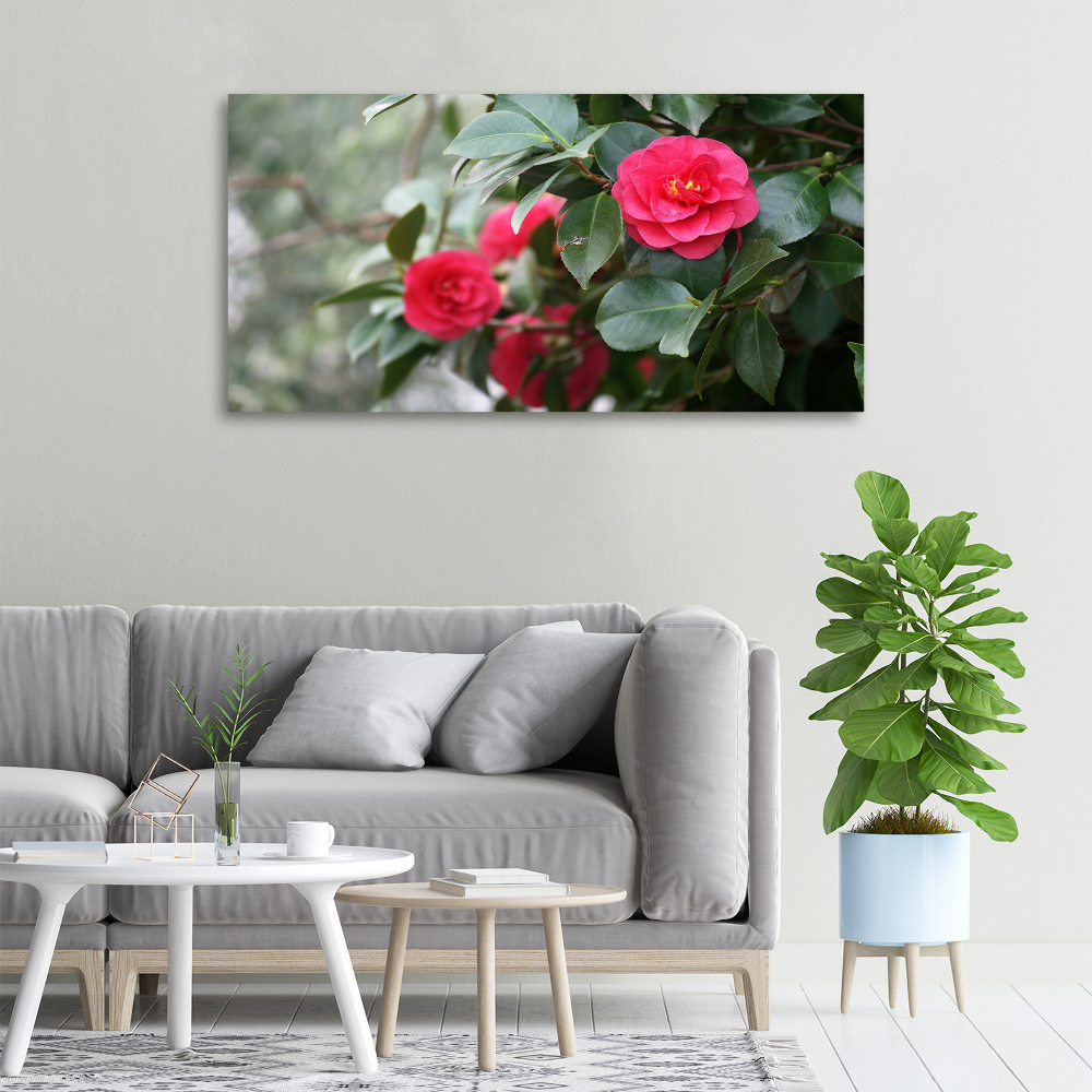 Foto obraz canvas Kamelia
