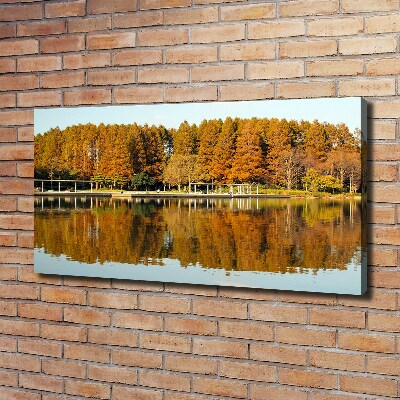 Foto obraz na płótnie Las nad jeziorem