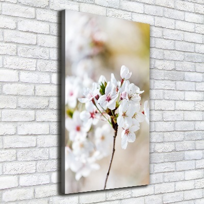 Foto obraz canvas pionowy Kwiaty wiśni