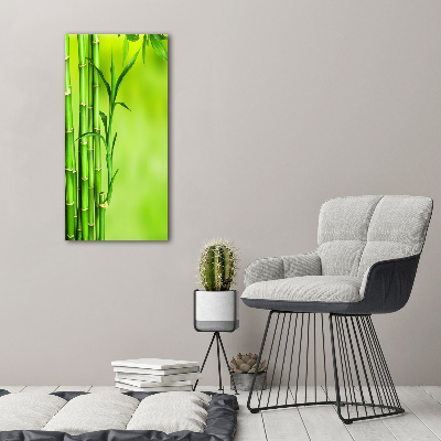 Nowoczesny fotoobraz canvas na ramie pionowy Bambus
