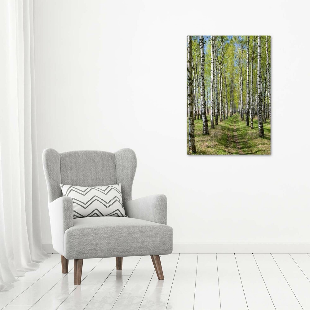 Foto obraz canvas pionowy Las brzozowy