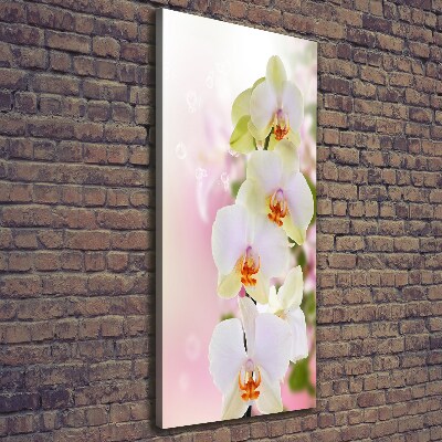Foto obraz na płótnie pionowy Biała orchidea
