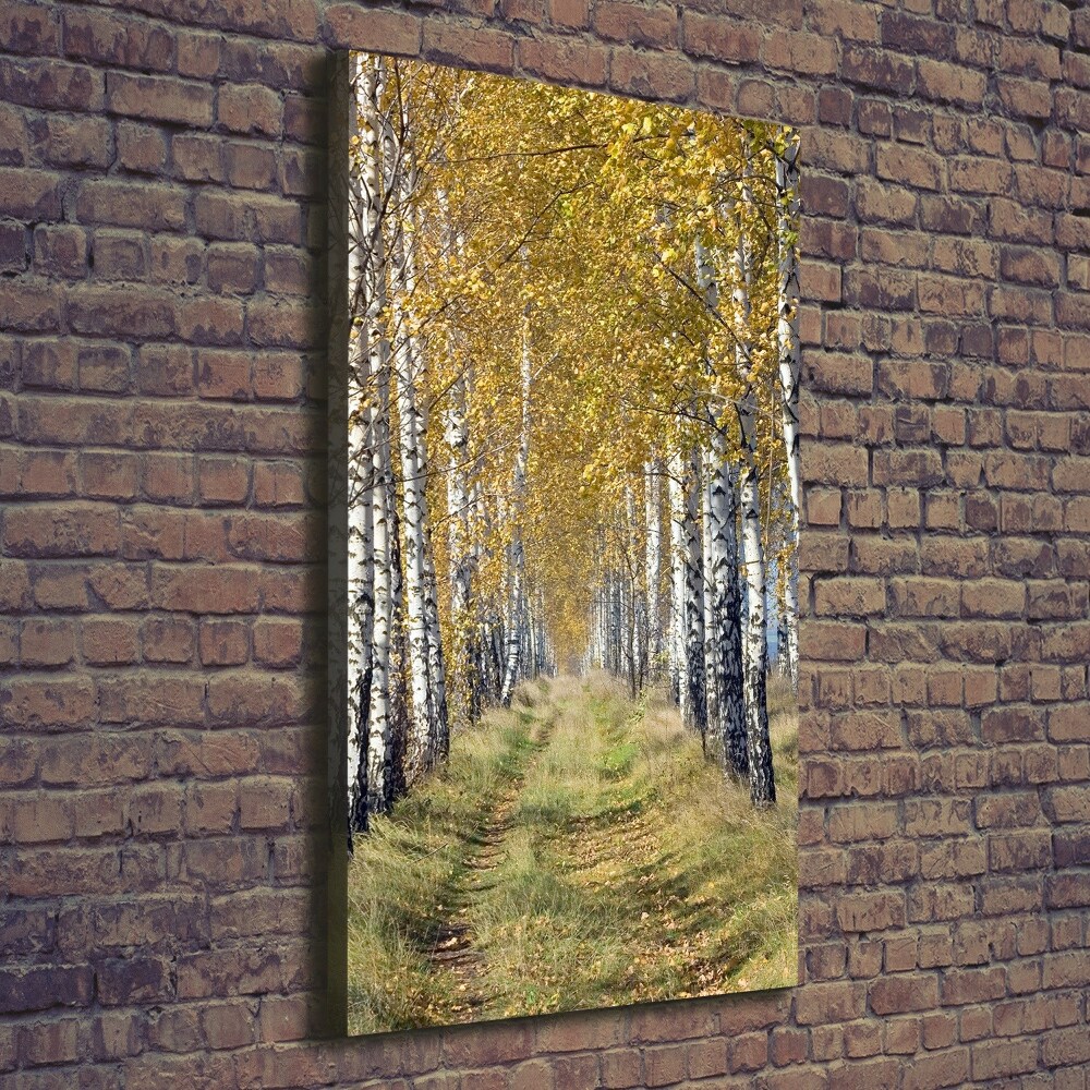 Foto obraz canvas pionowy Las brzozowy
