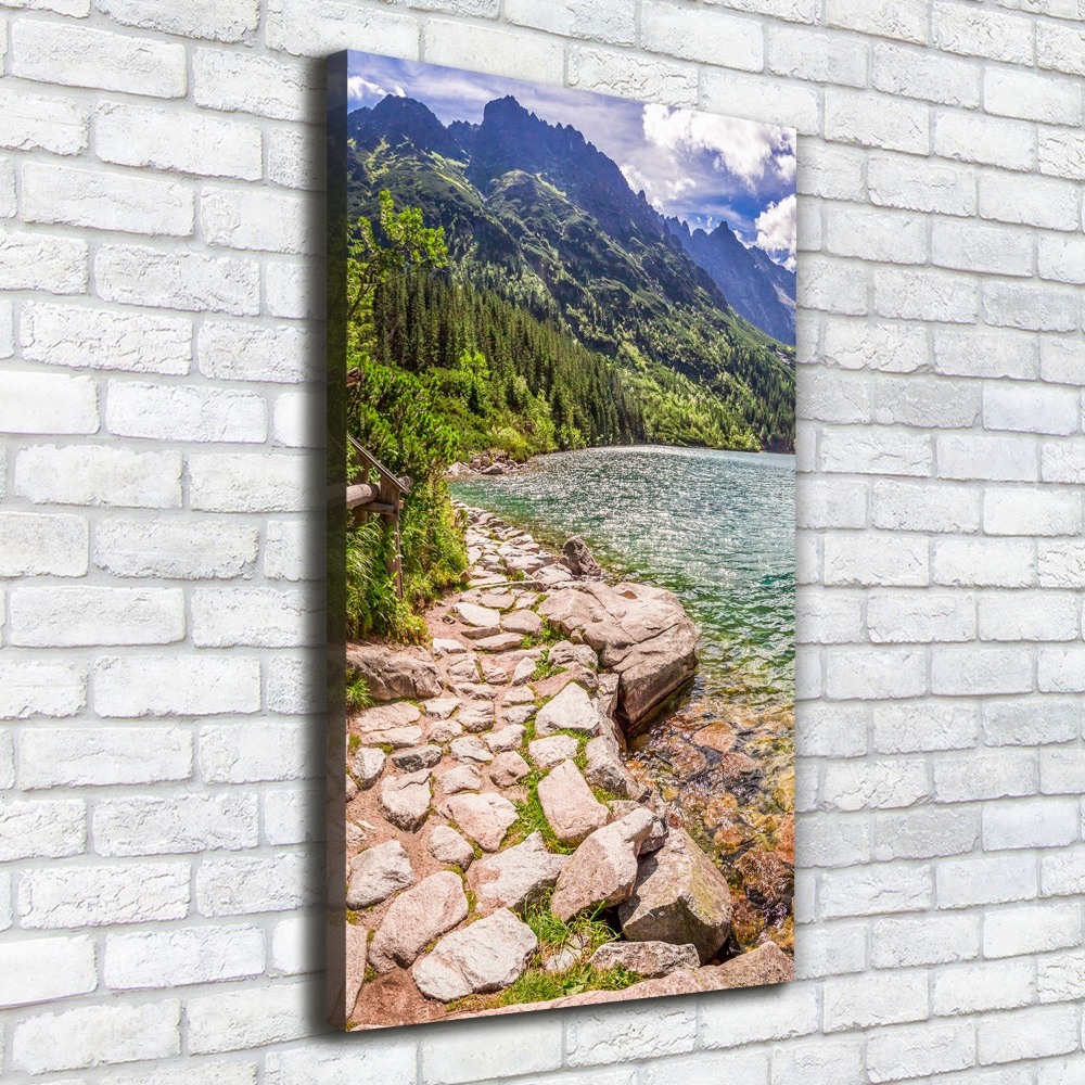 Foto obraz na płótnie pionowy Morskie oko Tatry