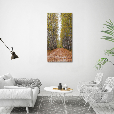 Foto obraz canvas pionowy Las brzozowy