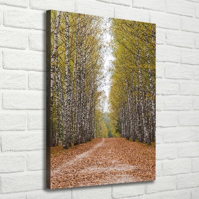 Foto obraz canvas pionowy Las brzozowy