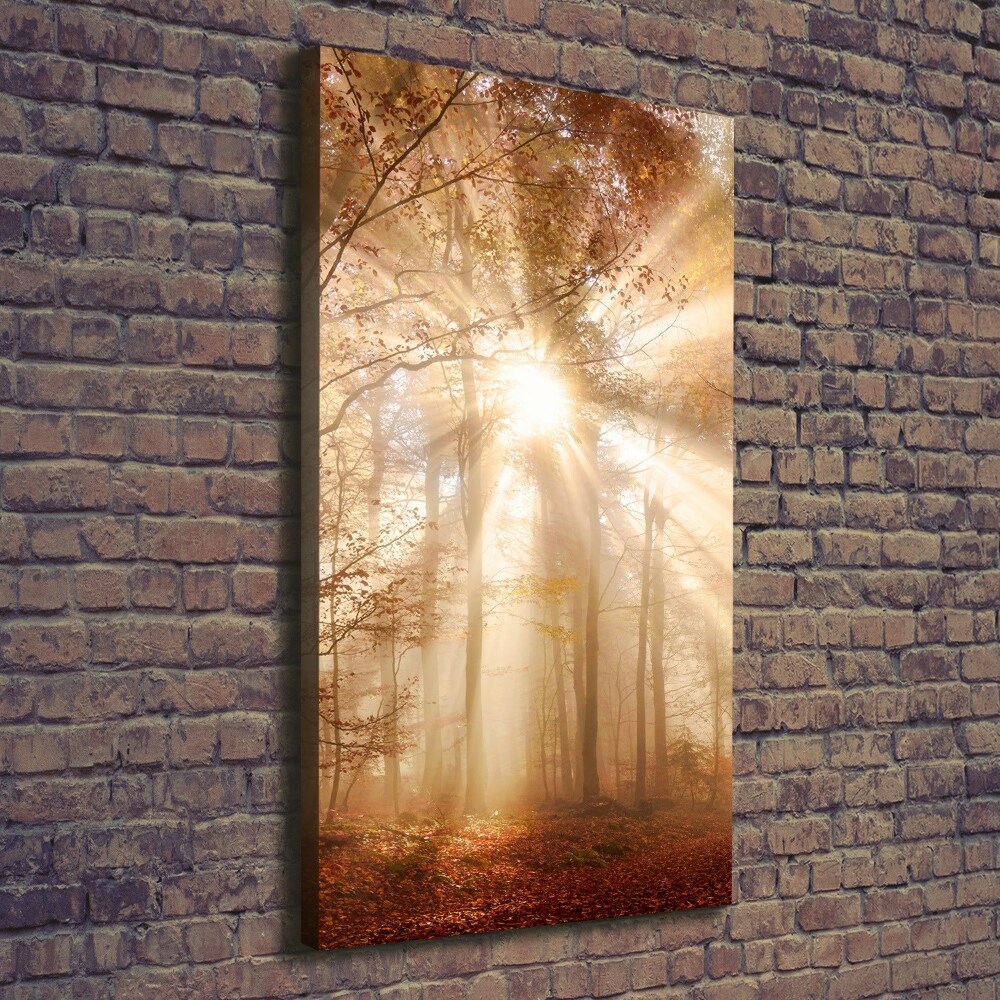 Foto obraz canvas pionowy Las jesienią
