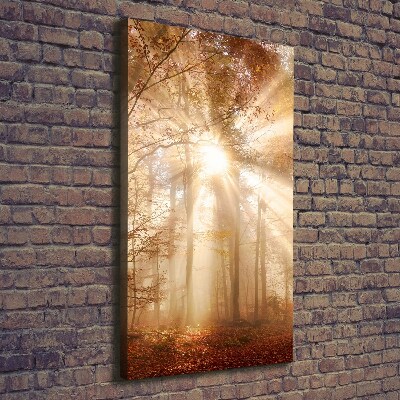 Foto obraz canvas pionowy Las jesienią