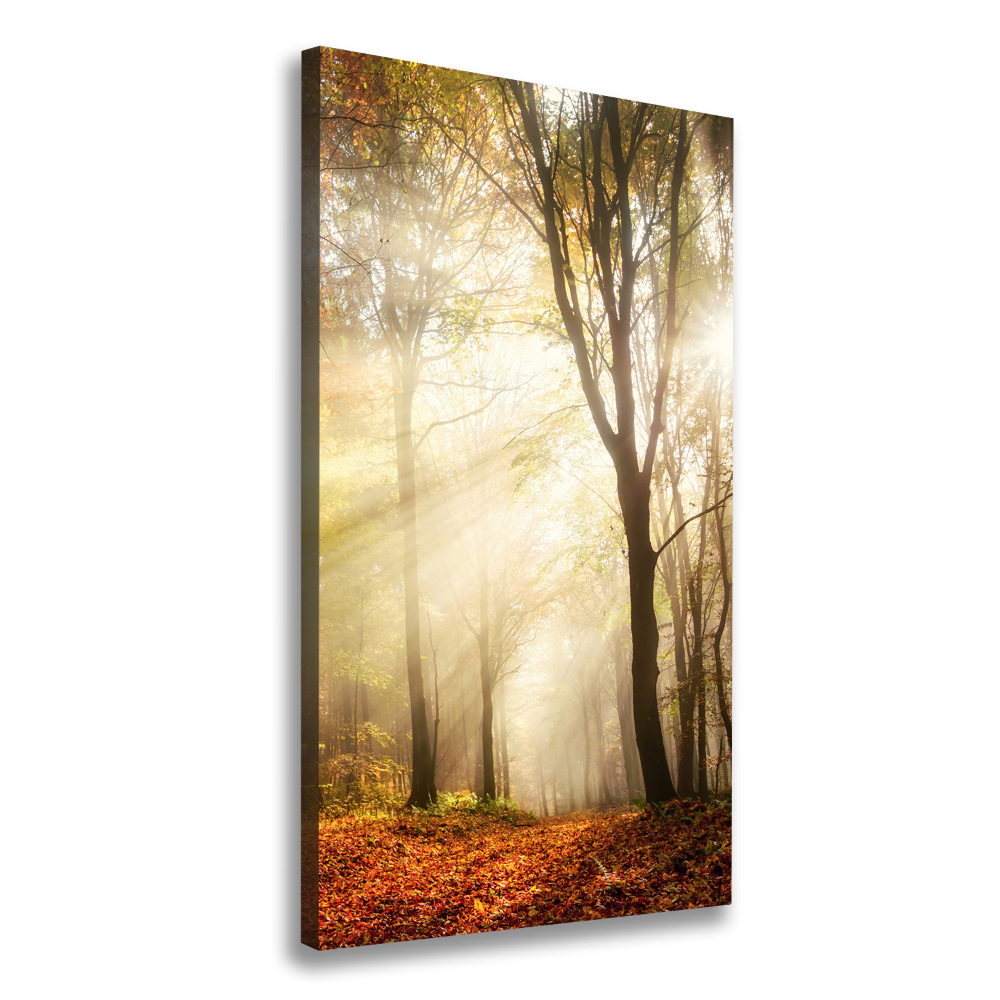 Foto obraz canvas pionowy Las jesienią