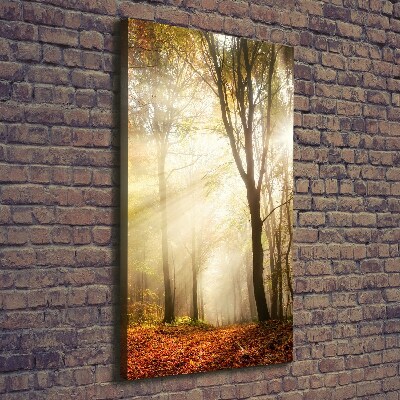 Foto obraz canvas pionowy Las jesienią