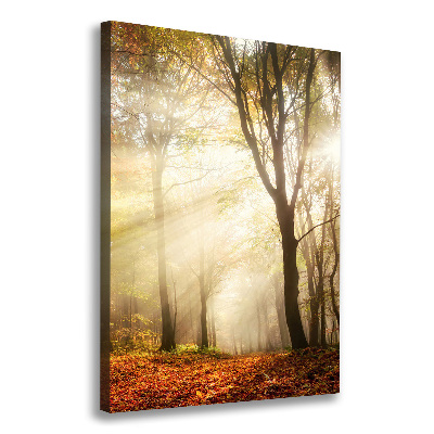Foto obraz canvas pionowy Las jesienią