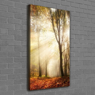 Foto obraz canvas pionowy Las jesienią