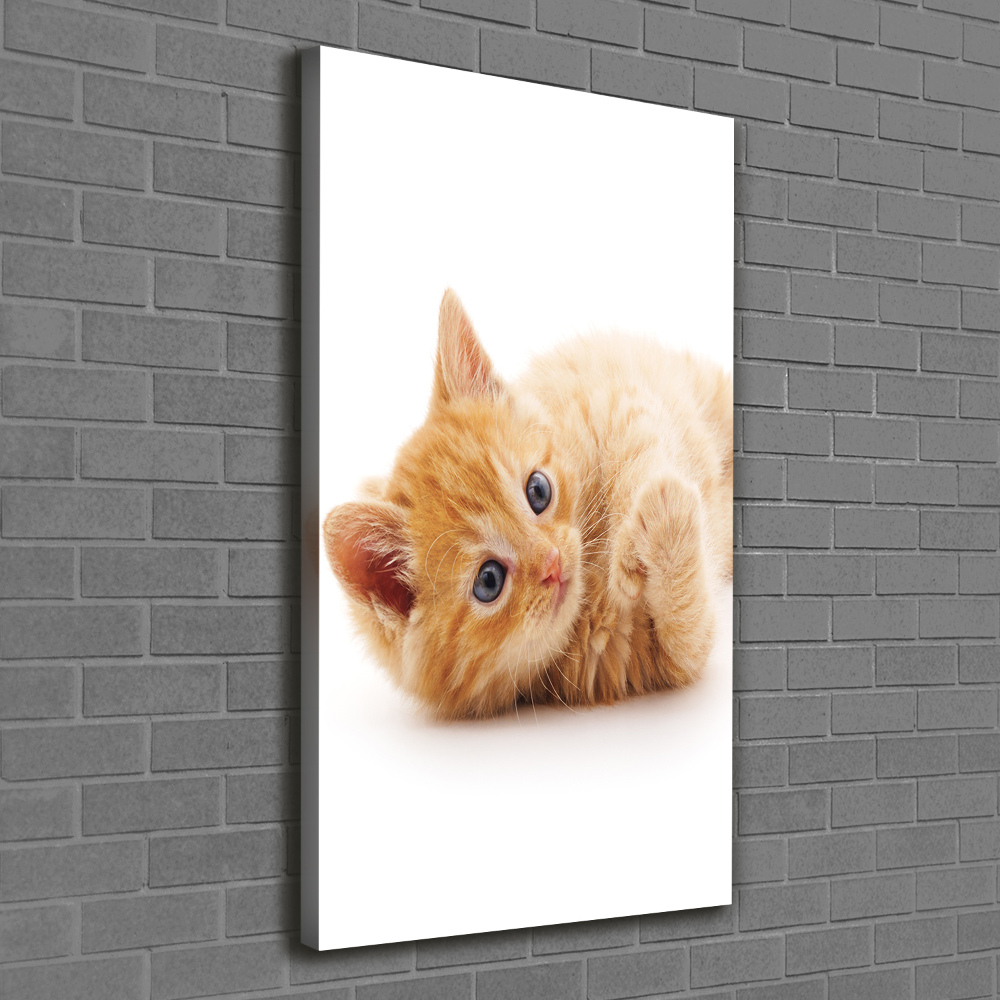 Foto obraz canvas pionowy Mały rudy kot