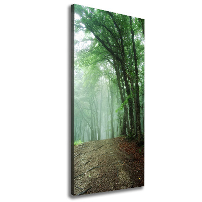 Foto obraz canvas pionowy Mgła w lesie