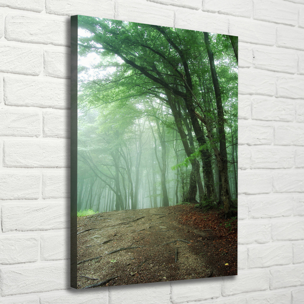 Foto obraz canvas pionowy Mgła w lesie