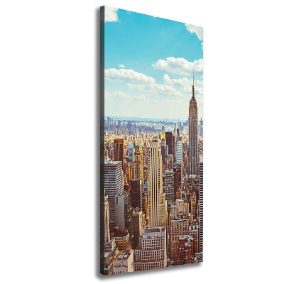 Foto obraz na płótnie pionowy Nowy Jork lot ptaka