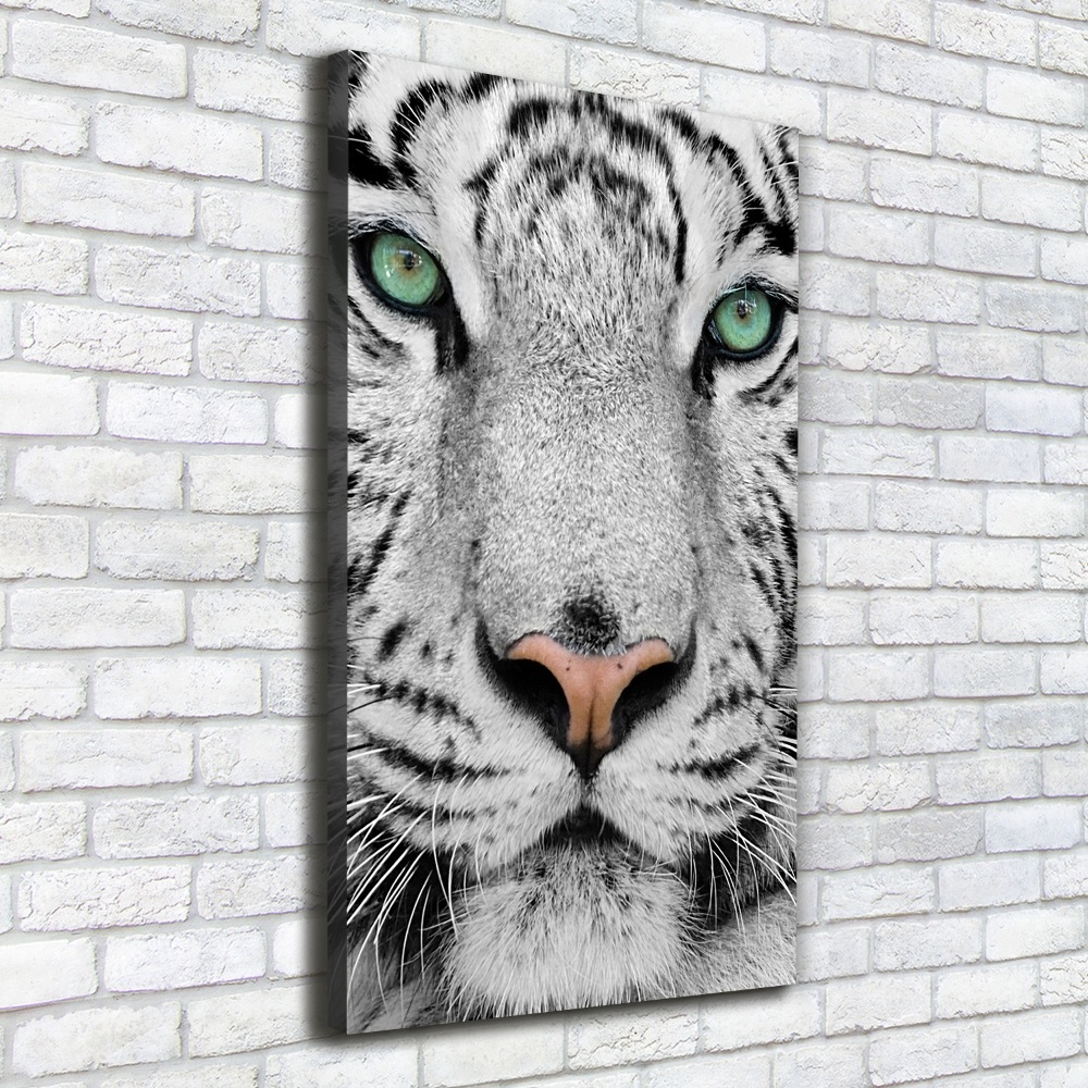 Foto obraz canvas pionowy Biały tygrys