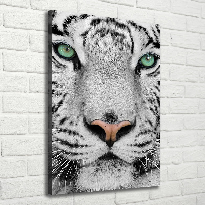 Foto obraz canvas pionowy Biały tygrys