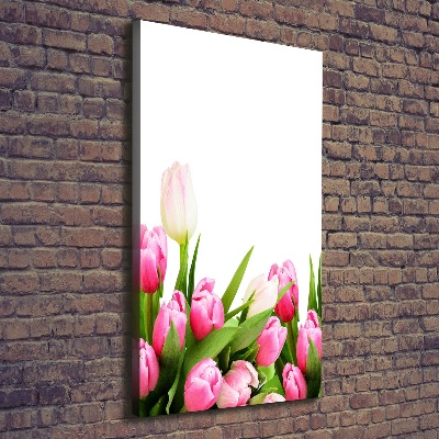 Foto obraz na płótnie pionowy Różowe tulipany