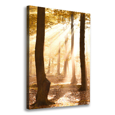 Foto obraz canvas pionowy Las jesienią