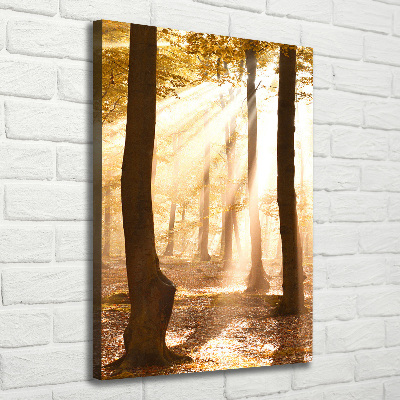 Foto obraz canvas pionowy Las jesienią