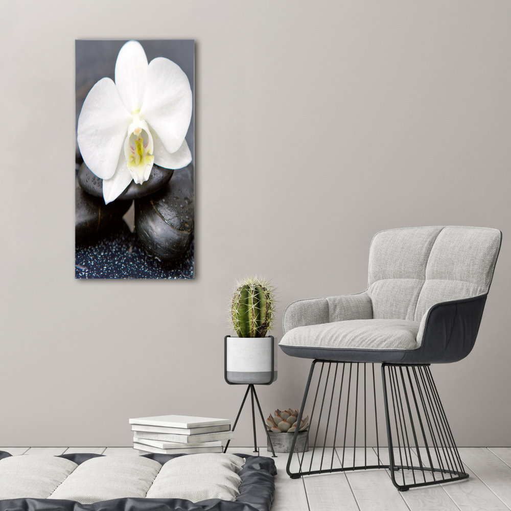 Foto obraz na płótnie pionowy Orchidea i kamienie