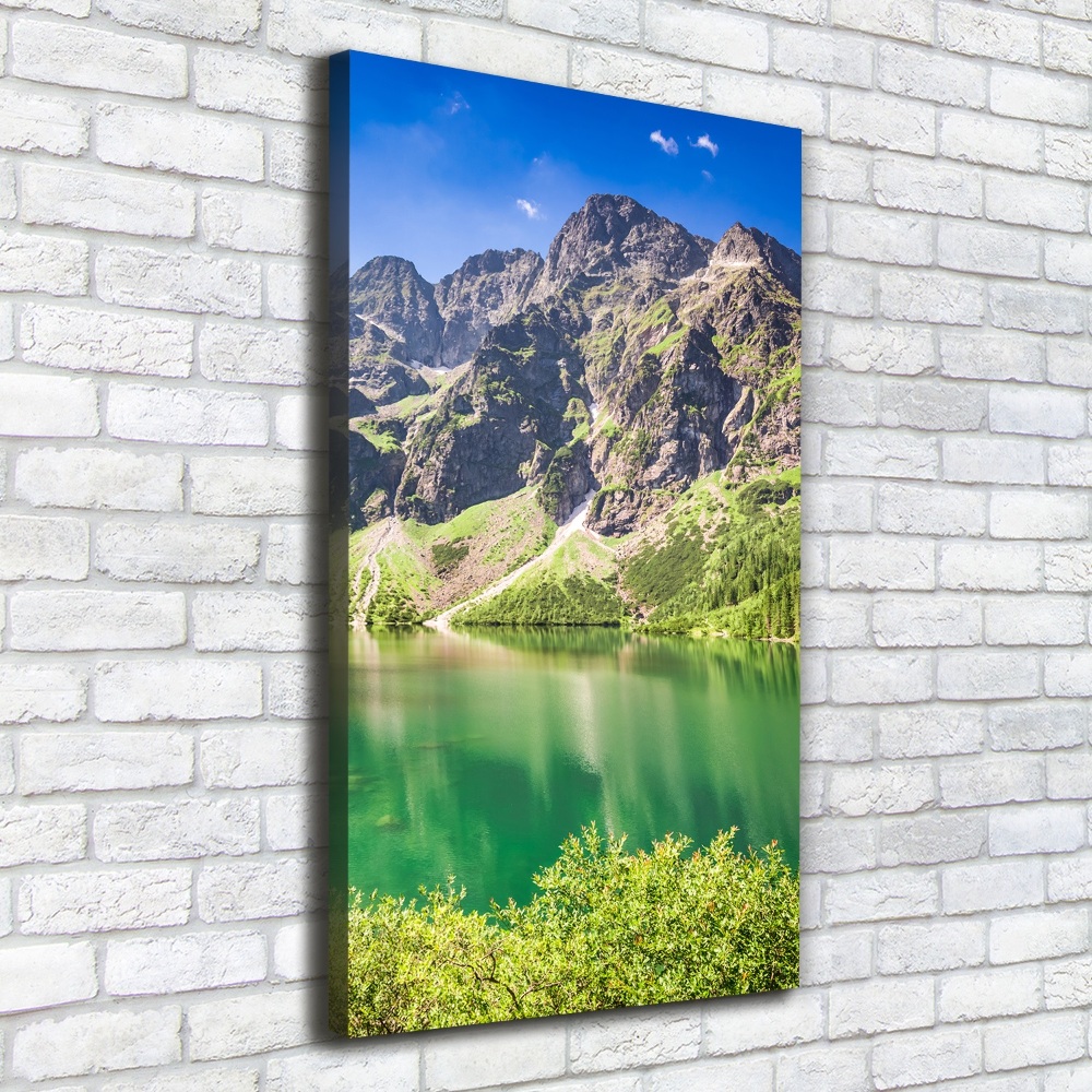 Foto obraz na płótnie pionowy Morskie oko Tatry