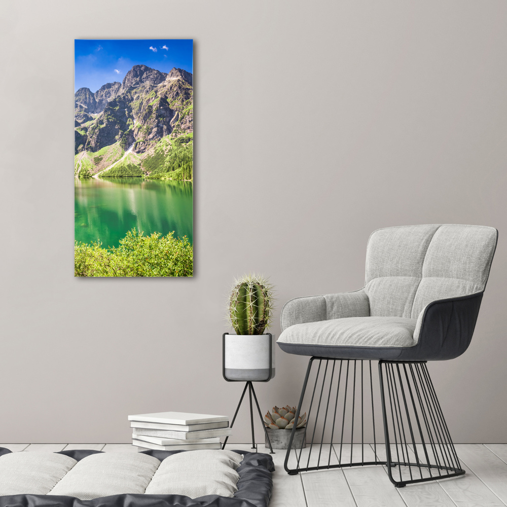 Foto obraz na płótnie pionowy Morskie oko Tatry