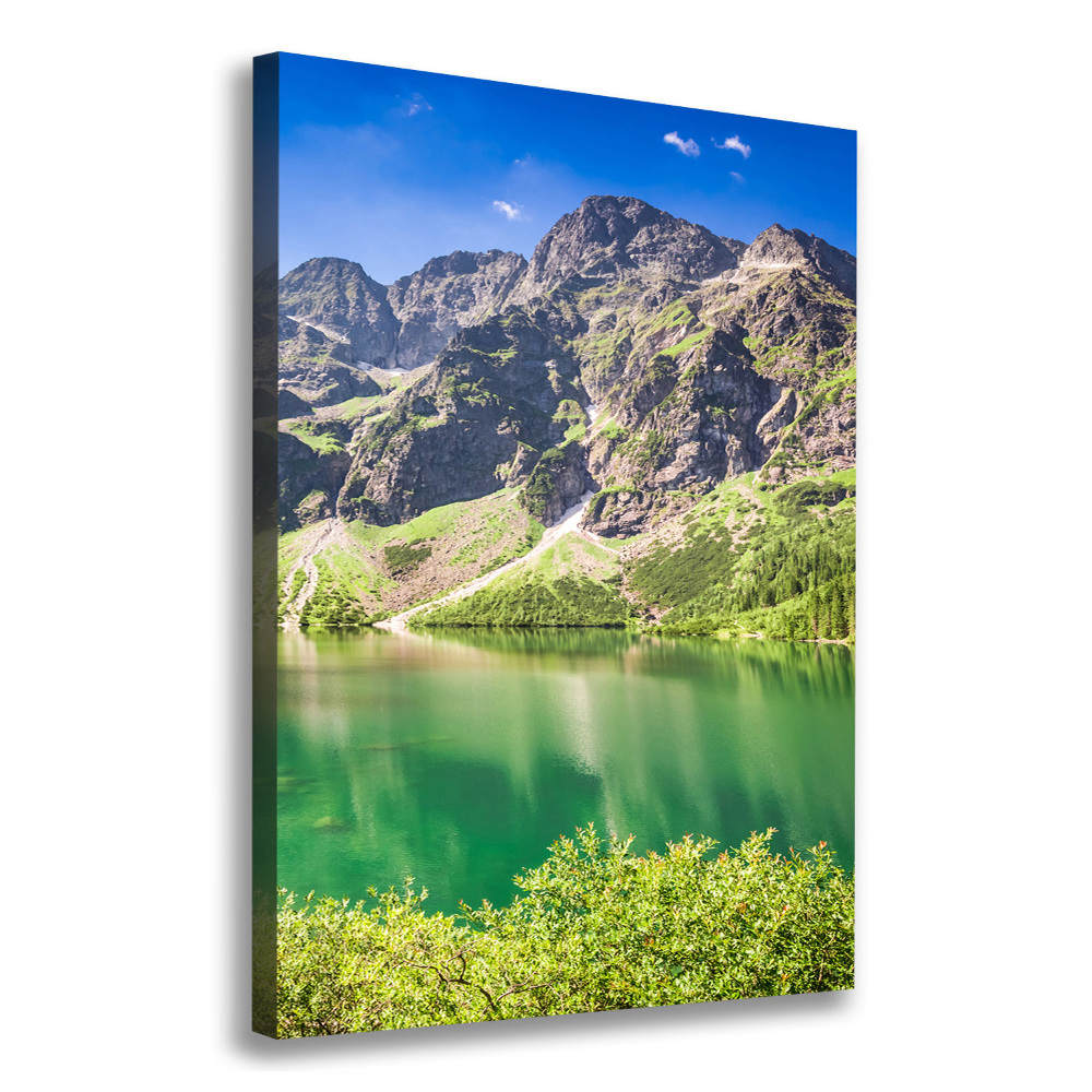 Foto obraz na płótnie pionowy Morskie oko Tatry
