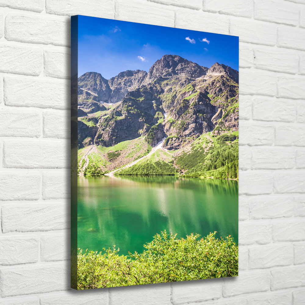 Foto obraz na płótnie pionowy Morskie oko Tatry