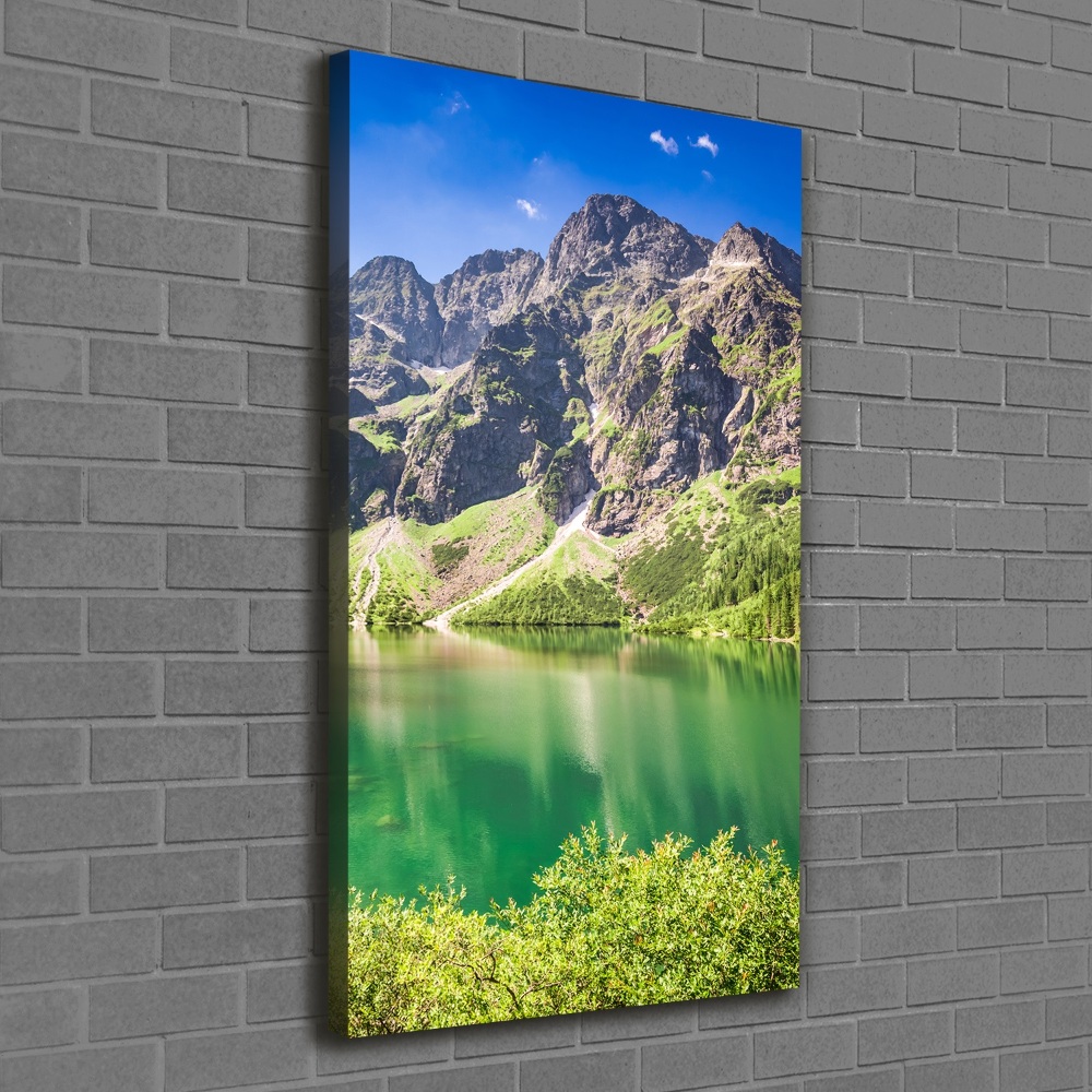 Foto obraz na płótnie pionowy Morskie oko Tatry
