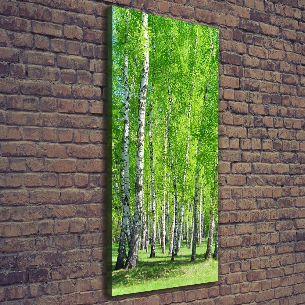 Foto obraz canvas pionowy Las brzozowy