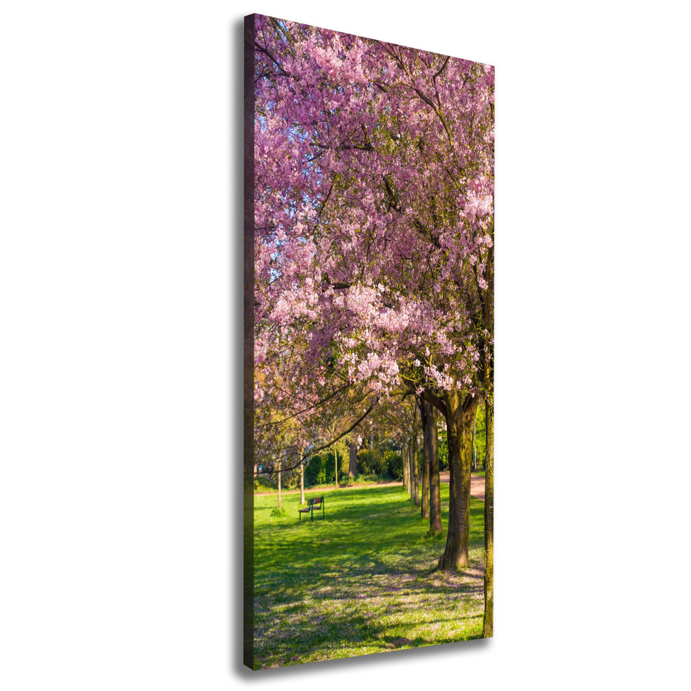Foto obraz canvas pionowy Drzewa wiśni